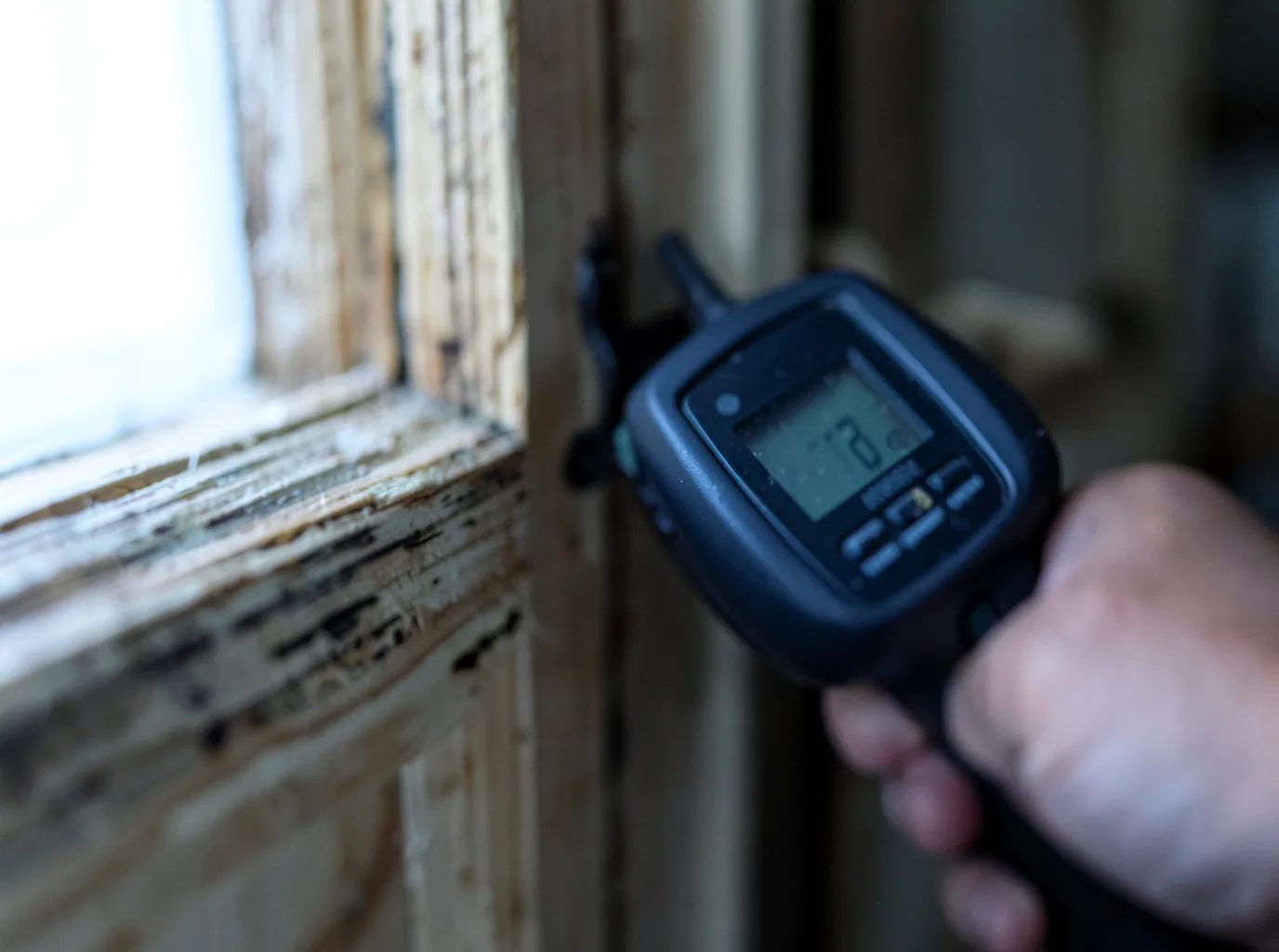 Moisture Inspection And Documentation in Grant City, MO